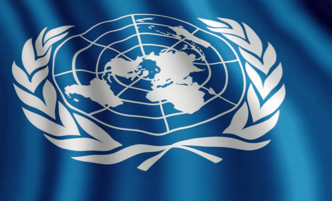 FN's flag